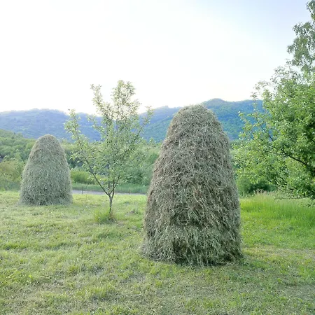 Садиба 