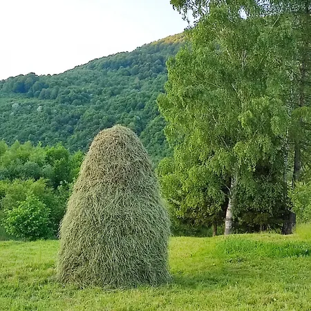 Садиба 